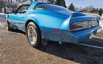1980 Trans Am Thumbnail 8