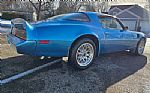 1980 Trans Am Thumbnail 50