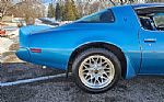 1980 Trans Am Thumbnail 66