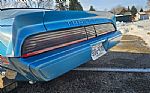 1980 Trans Am Thumbnail 80