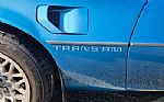 1980 Trans Am Thumbnail 91