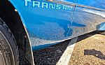 1980 Trans Am Thumbnail 94