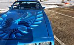 1980 Trans Am Thumbnail 100