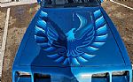 1980 Trans Am Thumbnail 99