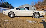 1976 Trans Am Thumbnail 4