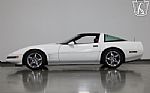 1991 Corvette Thumbnail 26
