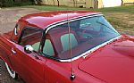 1955 Thunderbird Thumbnail 27