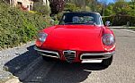 1966 Spider 1600 Duetto Thumbnail 2