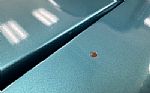 1969 1200D Long Bed Pickup Thumbnail 29