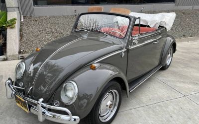 Photo of a 1964 Volkswagen Beetle Convertible for sale