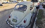 1965 Beetle Thumbnail 1