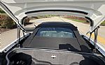 2009 Viper Thumbnail 10