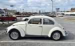 1967 Beetle Thumbnail 3
