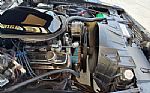 1981 Trans Am Thumbnail 35