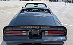 1977 Firebird Roadster Trans Am Thumbnail 10