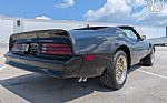 1977 Firebird Roadster Trans Am Thumbnail 14