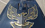 1977 Firebird Roadster Trans Am Thumbnail 50