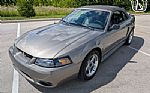 2001 Mustang Cobra SVT Thumbnail 2