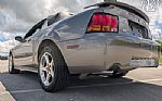 2001 Mustang Cobra SVT Thumbnail 10