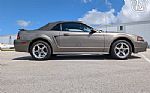 2001 Mustang Cobra SVT Thumbnail 19