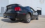 2003 Mustang Centennial Edition Thumbnail 16