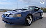 2003 Mustang Thumbnail 3