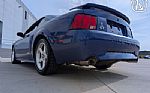 2003 Mustang Thumbnail 10