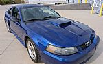 2003 Mustang Thumbnail 19
