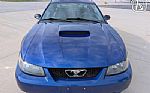 2003 Mustang Thumbnail 22