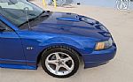 2003 Mustang Thumbnail 40