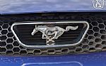 2003 Mustang Thumbnail 45