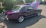 1966 Mustang Boss 302 Thumbnail 5