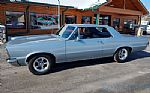 1965 GTO Thumbnail 77