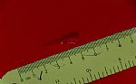 1994 Civic Del Sol VTEC Thumbnail 40