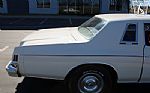1979 300 Thumbnail 15