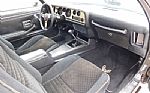 1979 Firebird Trans Am Thumbnail 41