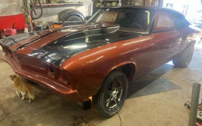 Photo of a 1969 Chevrolet Chevelle 4 Linkin Big Block W Blower for sale