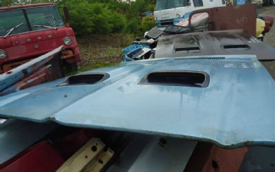 Photo of a Olds /Firebird Pontiac Hoods for sale