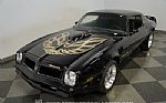 1976 Firebird Trans Am Thumbnail 19