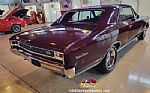 1966 Chevelle SS Thumbnail 4