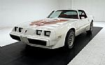 1979 Firebird Trans Am Coupe Thumbnail 2
