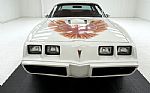 1979 Firebird Trans Am Coupe Thumbnail 11