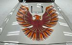 1979 Firebird Trans Am Coupe Thumbnail 13