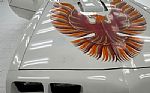 1979 Firebird Trans Am Coupe Thumbnail 49