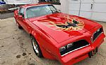 1977 Trans Am Thumbnail 4