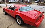 1977 Trans Am Thumbnail 7