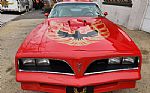1977 Trans Am Thumbnail 5
