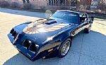 1979 Trans Am Thumbnail 1