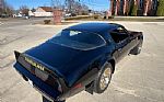 1979 Trans Am Thumbnail 12