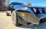 1979 Trans Am Thumbnail 18